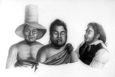 Retratos de jefes de las Islas Sandwich, 1819 de Alphonse Pellion