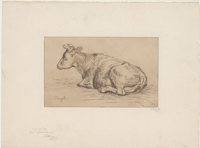 Vaca reclinada de Alphonse Stengelin (signed by artist)