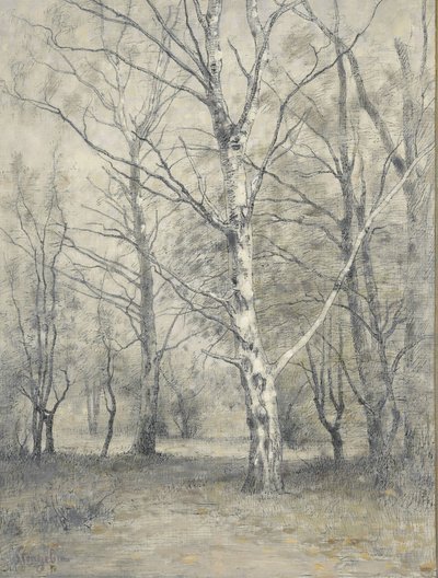 Bosque con abedules de Alphonse Stengelin