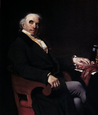 Retrato del Caballero de Nanteuil Lanorville (1754-1834) Administrador General de las Mensajerías Reales Pintura de Amable Pagnest (1790-1819) 1817 Sol. 1,29 X 1,02 m de Amable Pagnest