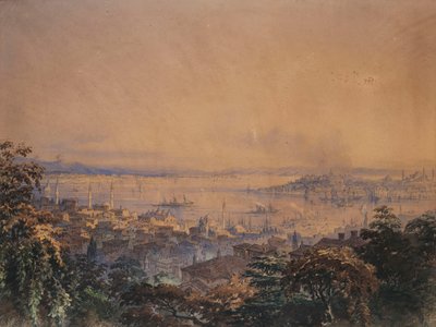 Una Vista de Constantinopla, 1866 de Amadeo Preziosi