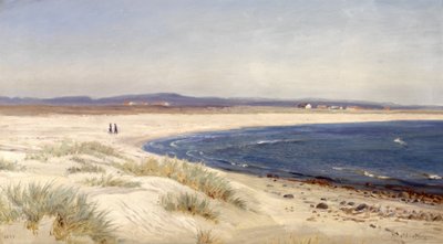 Noruego:  Mennesker på en strand Gente en la playa de Amaldus Nielsen