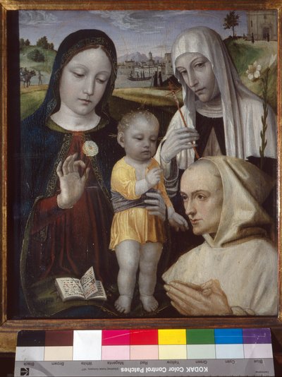 Madonna y Niño, Santa Catalina de Siena y un monje cartujo de Ambrogio da Fossano (c.1460 1523)