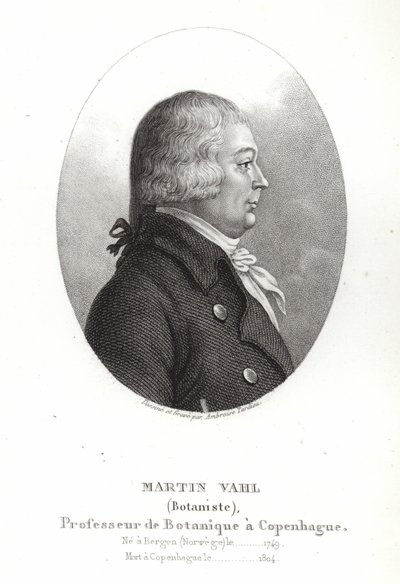 Martin Vahl de Ambroise Tardieu