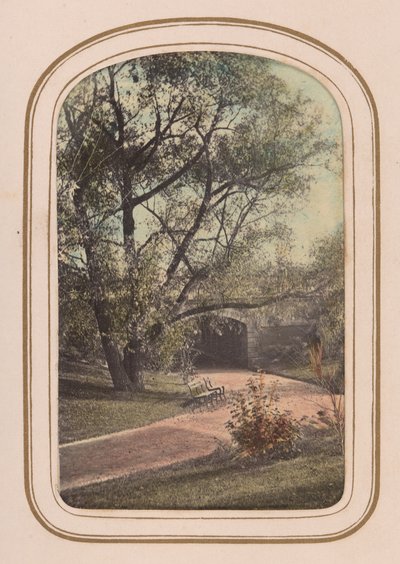 Álbum de carte-de-visite de vistas de Central Park, 1860s de Ambrose Jackson