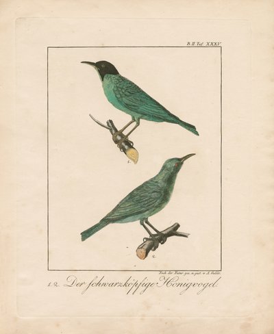  de Ambrosius Gabler