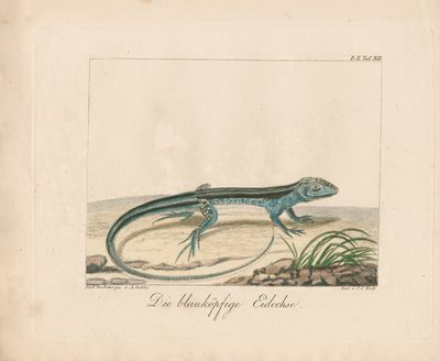  de Ambrosius Gabler