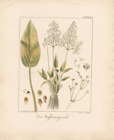  de Ambrosius Gabler