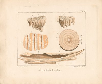  de Ambrosius Gabler