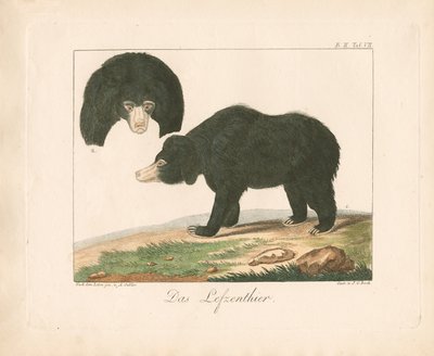  de Ambrosius Gabler