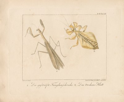  de Ambrosius Gabler