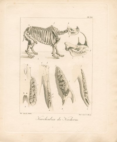  de Ambrosius Gabler