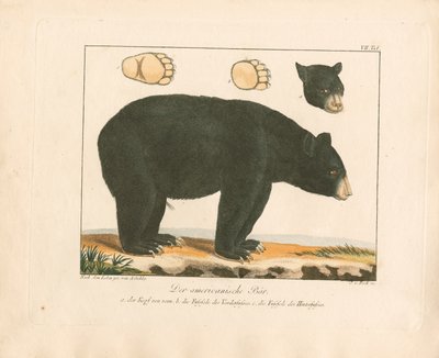  de Ambrosius Gabler