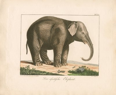  de Ambrosius Gabler