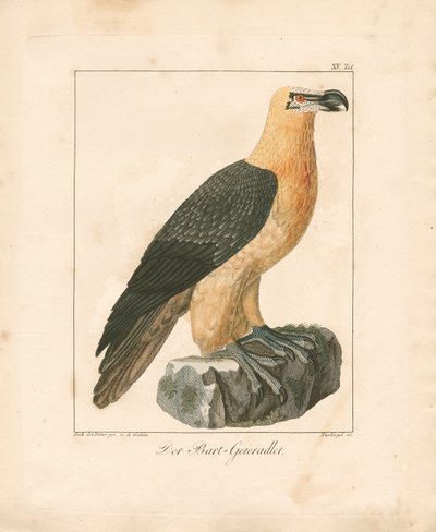  de Ambrosius Gabler