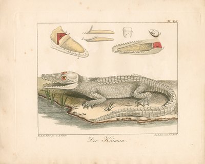  de Ambrosius Gabler