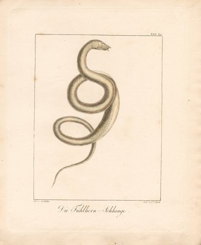  de Ambrosius Gabler