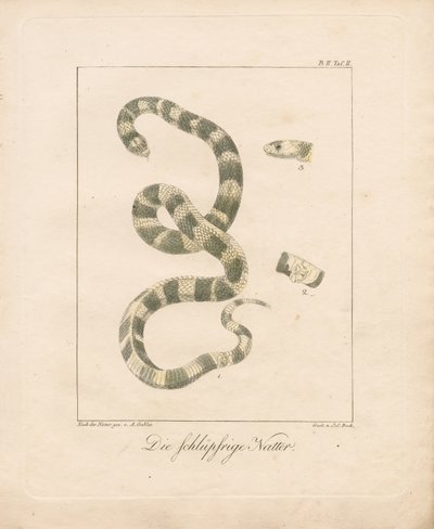 de Ambrosius Gabler