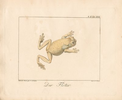 de Ambrosius Gabler