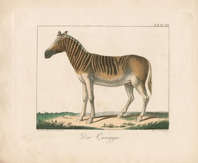  de Ambrosius Gabler