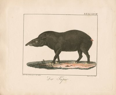  de Ambrosius Gabler