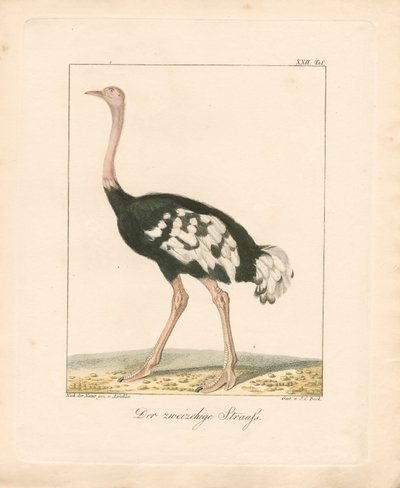  de Ambrosius Gabler