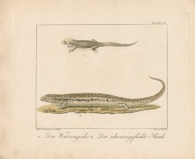  de Ambrosius Gabler