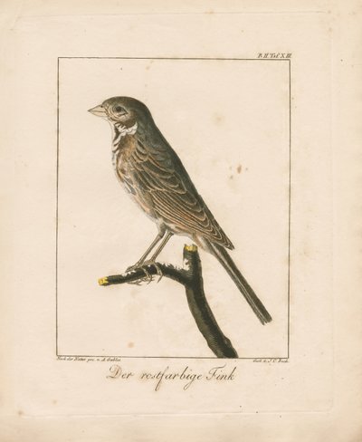  de Ambrosius Gabler