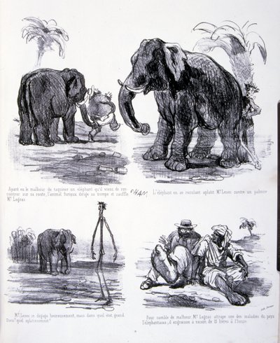 Ilustración para El arte de engordar y adelgazar de Amédée de Noé