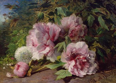 Estudio de Peonías, 1874 de Amedee Baudit