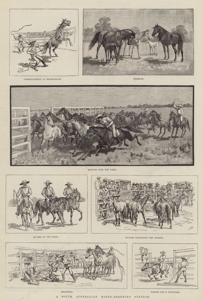 Una estación de cría de caballos en Australia del Sur de Amedee Forestier