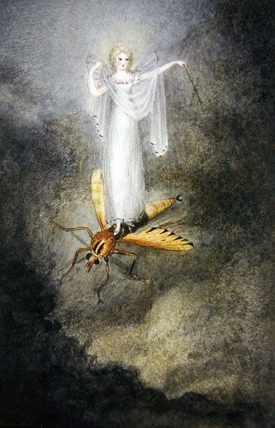 El Hada de la Polilla, c.1860 de Amelia Jane Murray
