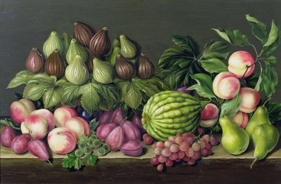 Higos, melón y grosellas, 1998 de Amelia Kleiser