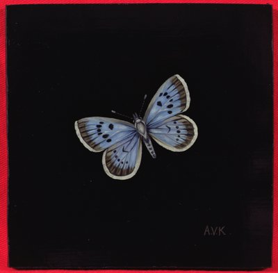 Mariposa azul grande, 2000 de Amelia Kleiser