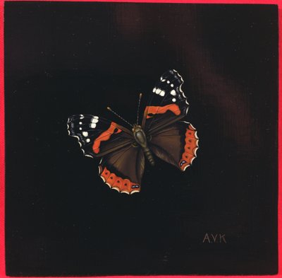 Mariposa almirante rojo, 2001 de Amelia Kleiser