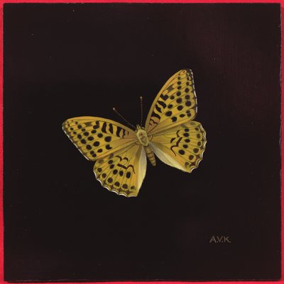 Mariposa fritilaria de plata, 2000 de Amelia Kleiser