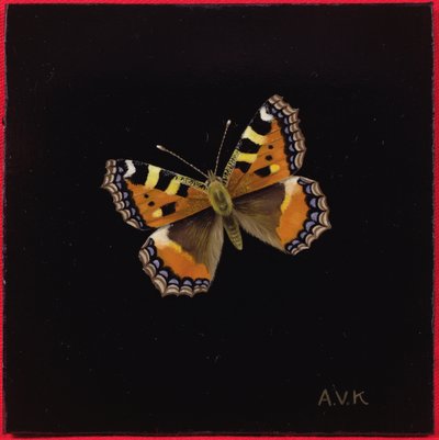 Mariposa de caparazón pequeño, 1998 de Amelia Kleiser