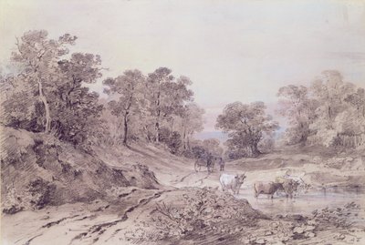 Un camino rural entre árboles de Amelia Long
