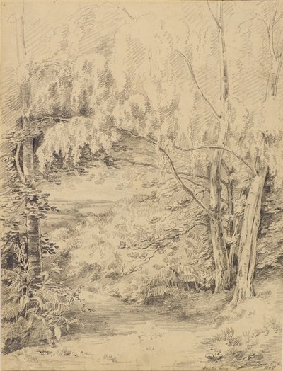 Colina de Bromley de Amelia Long