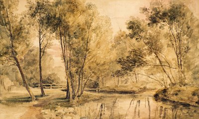 Estudio de árboles de Amelia Long