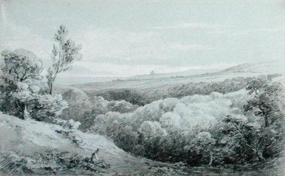Abadía de Whitby, desde Mulgrave de Amelia Long