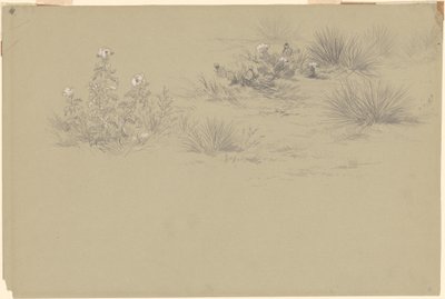 Arbusto floreciente y plantas del desierto de American 19th Century after John Frederick Kensett