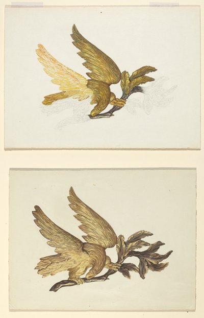 Águila de American 20th Century