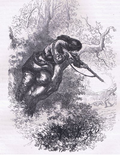 Tirador americano en un árbol, ilustración de la Historia de los Estados Unidos de Cassell publicada por Cassell, Petter & Galpin, c.1900 de American English school