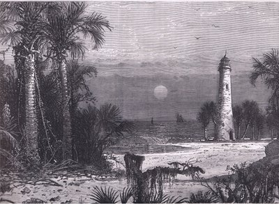 Vista de la costa de Florida, ilustración de la Historia de los Estados Unidos de Cassell publicada por Cassell, Petter & Galpin, c.1900 (litografía) de American English school