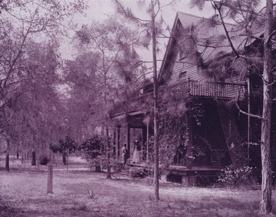 Una casa en las sombras de los pinos del sur, Florida de American Photographer (after)