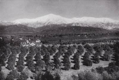 California: Redlands, desde Smiley Heights, sol, huertos de naranjos y picos nevados de American Photographer (after)