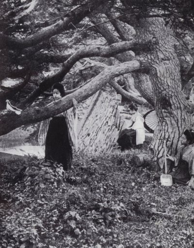 Chicas japonesas entre los viejos pinos junto al antiguo foso imperial en Tokio de American Photographer (after)