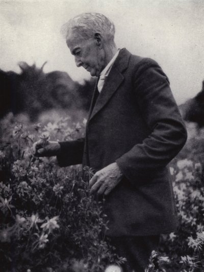 Luther Burbank entre sus flores de American Photographer (after)