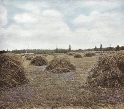 Oregón: Alfalfa de American Photographer (after)